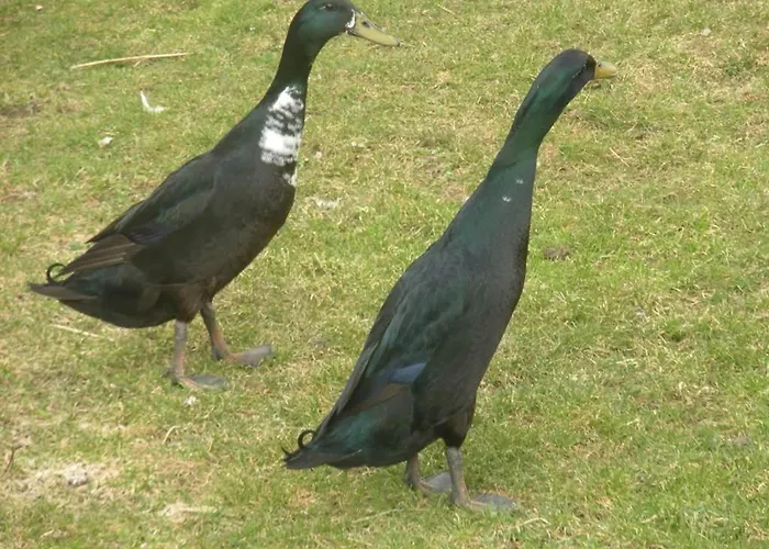 浩西本古公寓 农家乐